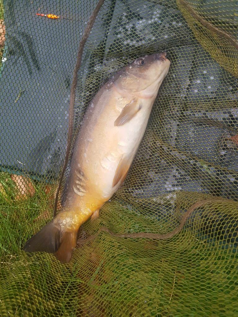 Birch House Lakes